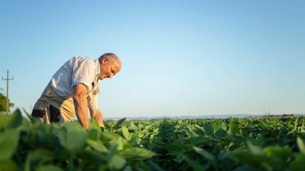 Como comprovar a atividade rural no INSS?