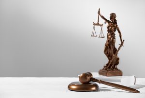 Um advogado especializado evitará erros e burocracia