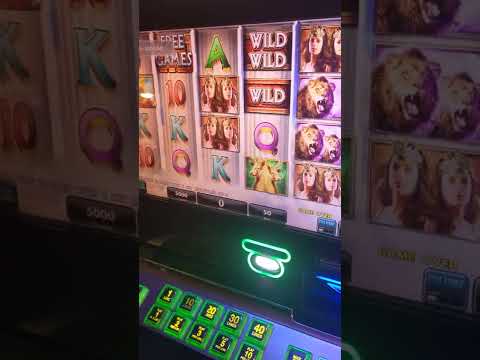 pinco casino online