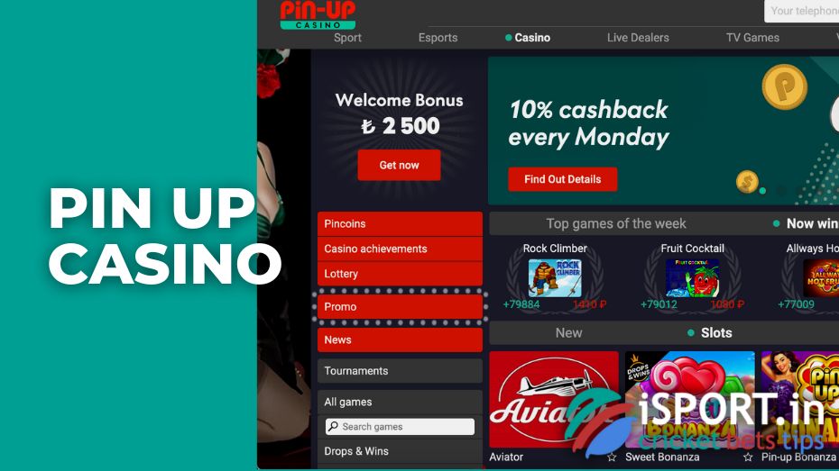 pin up casino pin up casino
