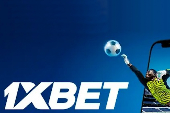 BettingHub Your Guide to the World of Online Betting